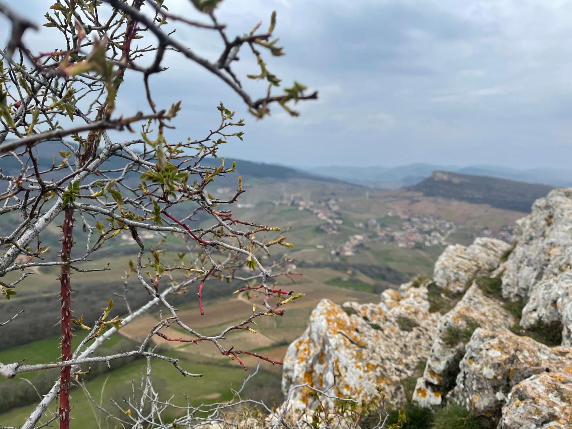 La Tablée Médiévale Civrieux-dʼAzergues Esterno foto